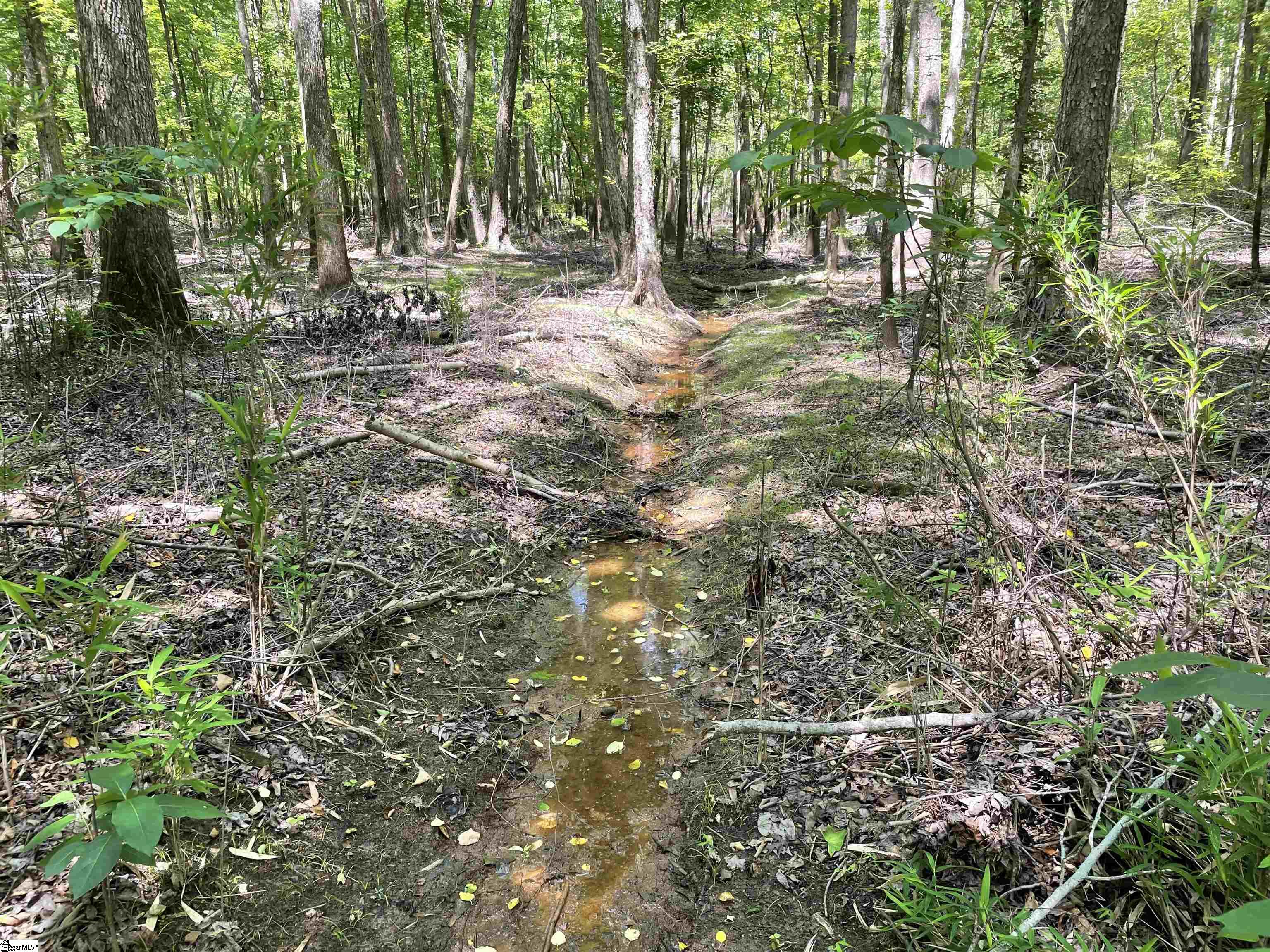 0 Clatworthy Road Honea Path, SC 29654 - Photo 8 of 25