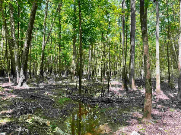 $119,500 | 0 Clatworthy Road, Honea Path, SC 29654