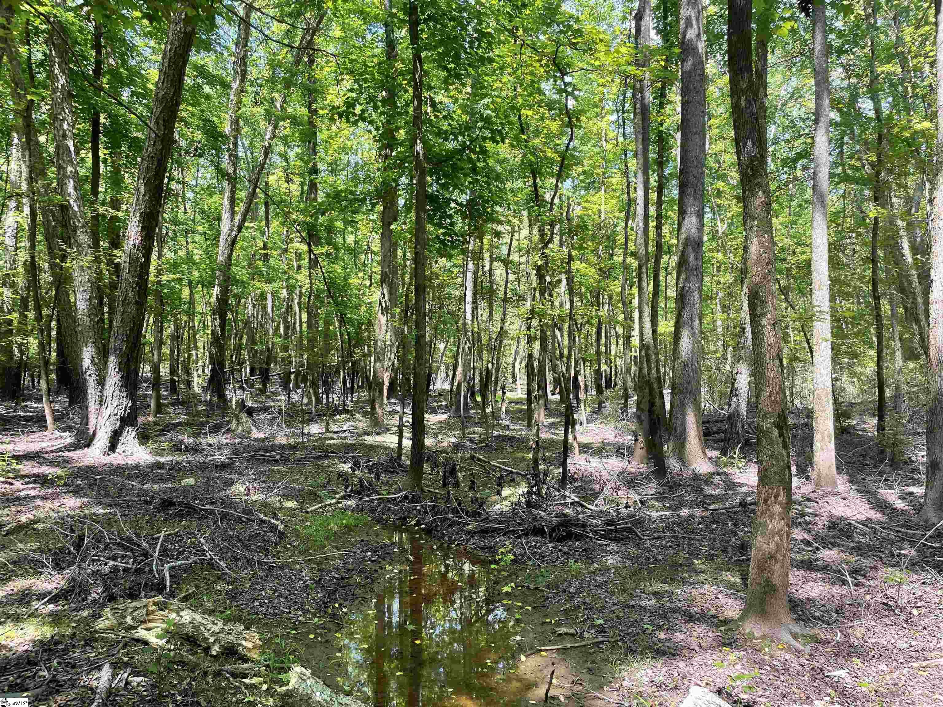 0 Clatworthy Road Honea Path, SC 29654 - Photo 9 of 25