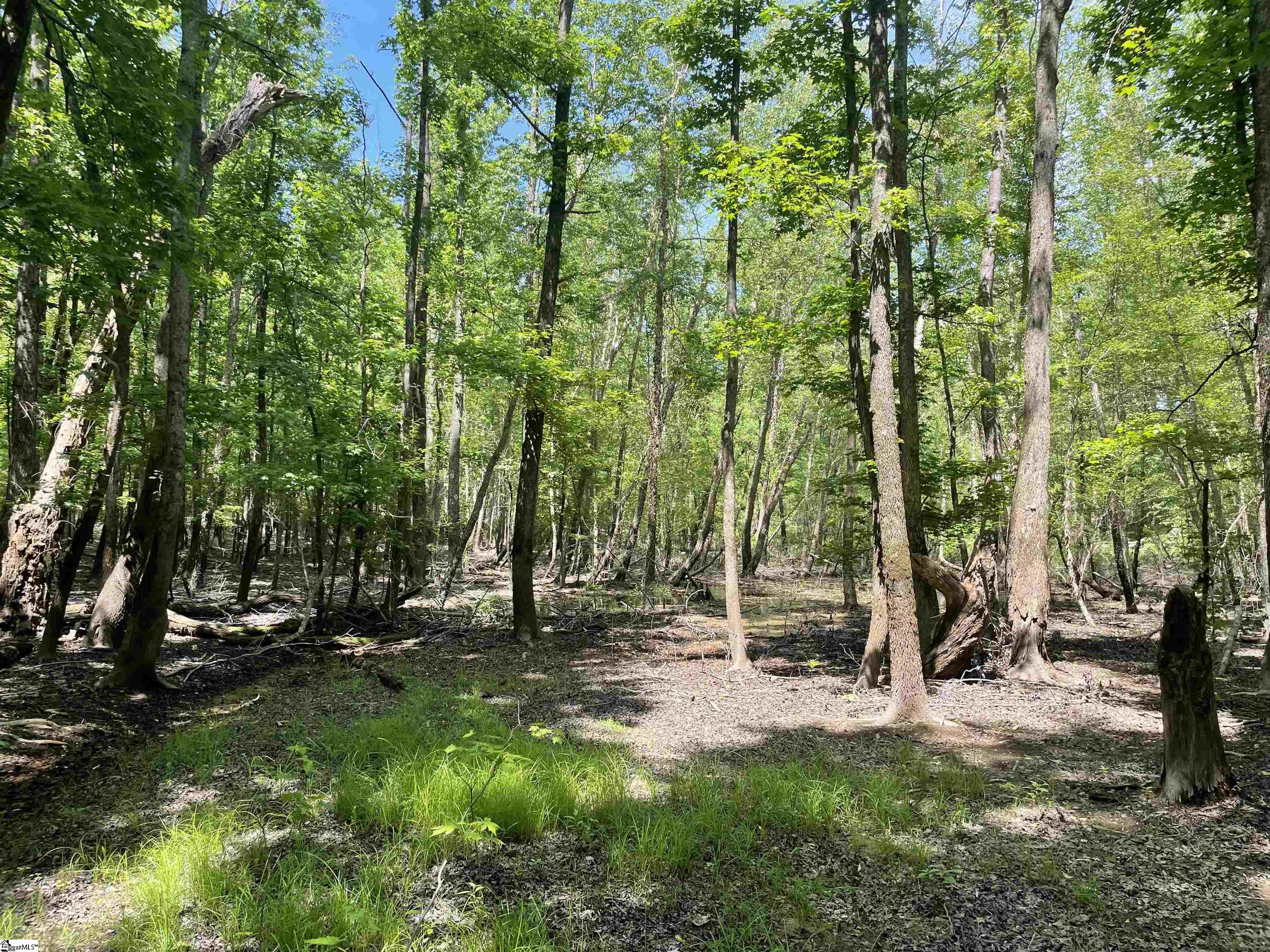 0 Clatworthy Road Honea Path, SC 29654 - Photo 9 of 25