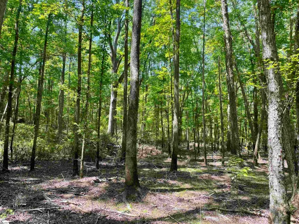 $119,500 | 0 Clatworthy Road, Honea Path, SC 29654