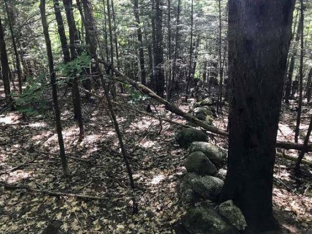 0 Chalk Pond Road, Unit 1 Newbury, NH 03255 - Photo 4 of 17