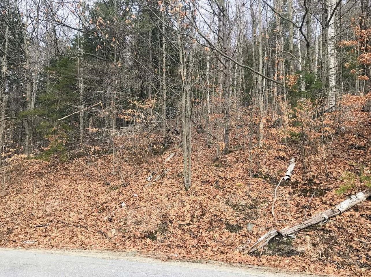 0 Chalk Pond Road, Unit 1 Newbury, NH 03255 - Photo 6 of 17
