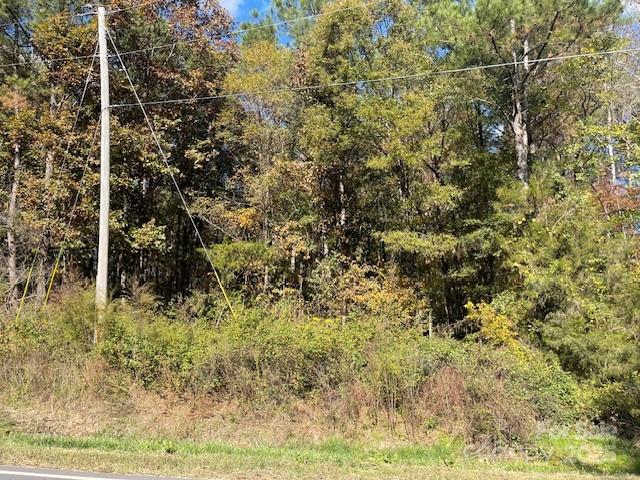 0 Deep Springs Road Peachland, NC 28133 - Photo 4 of 8