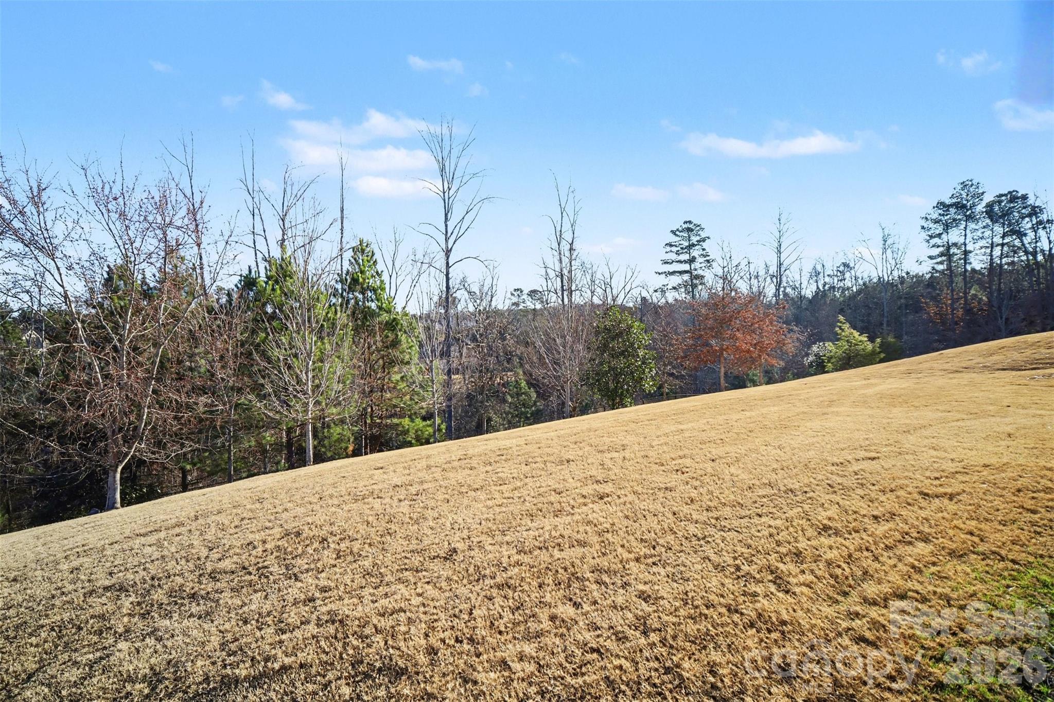 15828 Vale Ridge Drive Charlotte, NC 28278 - Photo 30 of 33 a view of a outdoor space with a house