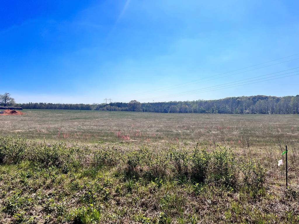 0 Co Road Headland, AL 36345 - Photo 1 of 6
