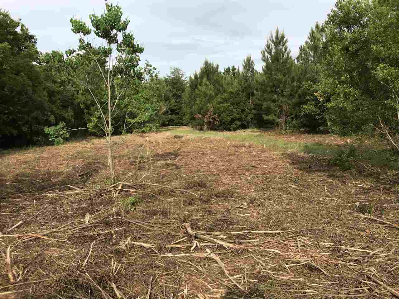34185 B Waroad Road Stapleton, AL 36578 - Photo 5 of 9