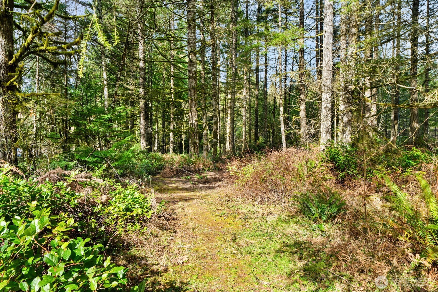 320 Rivendell Road Grapeview, WA 98546 - Photo 33 of 36