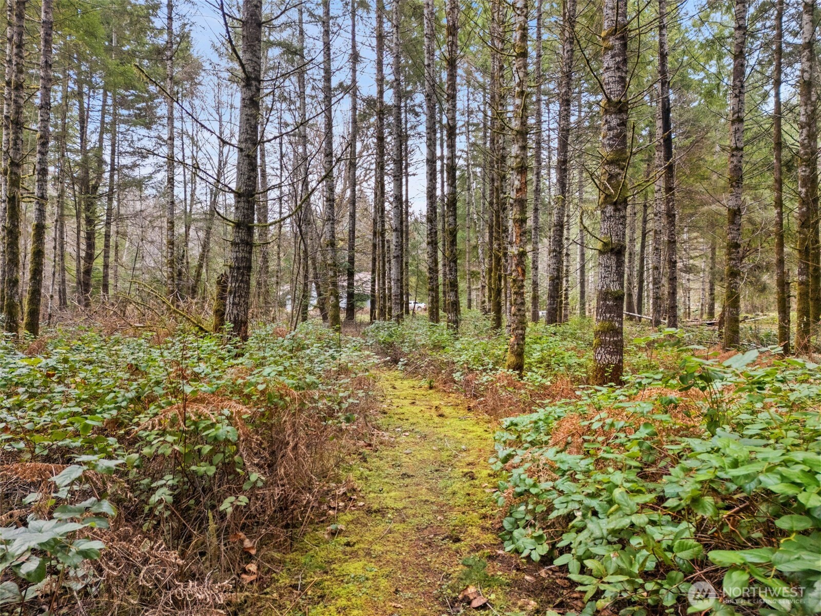 320 Rivendell Road Grapeview, WA 98546 - Photo 35 of 36