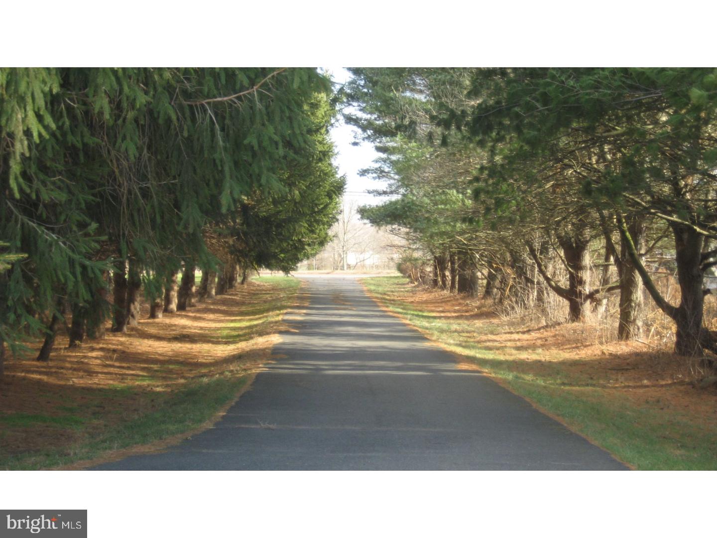 21 Island Road Jobstown, NJ 08041 - Photo 3 of 7 Driveway