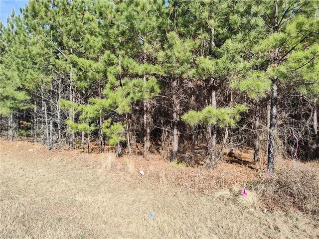 $40,000 | Lot 7 Windblow Road, Jackson Springs, NC 27281