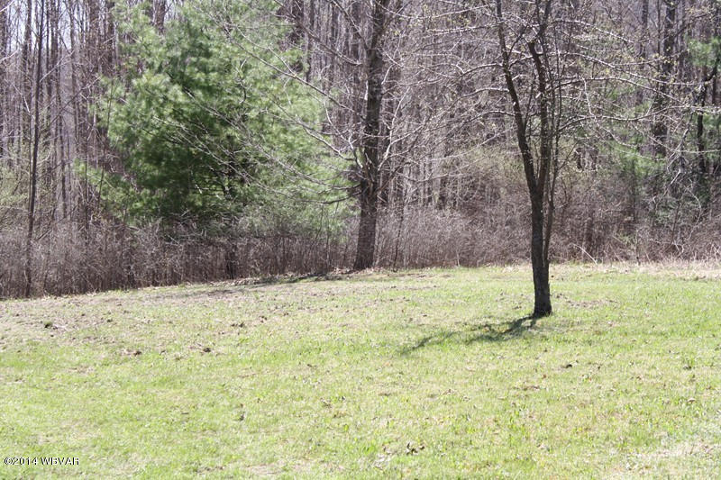 480 Trowbridge Station Road Millerton, PA 16936 - Photo 30 of 77 126390-30