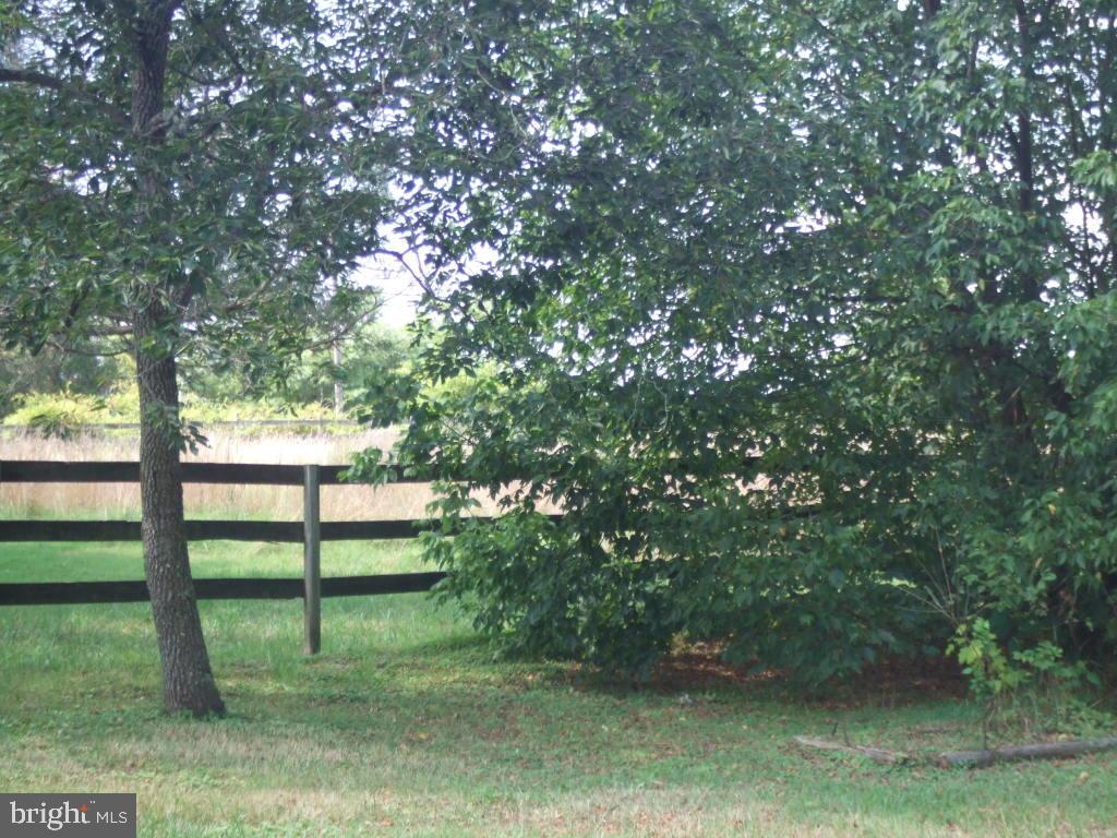 26086 Nanticoke Road Salisbury, MD 21801 - Photo 2 of 8