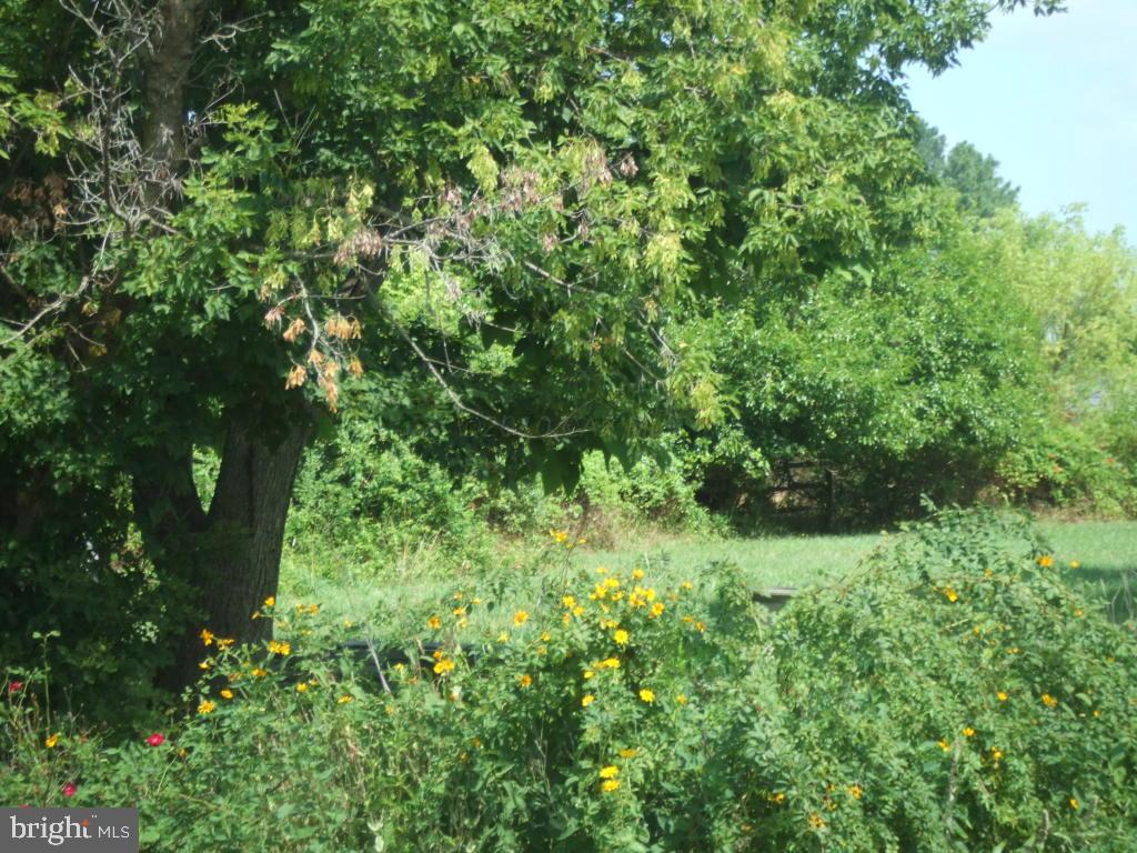 26086 Nanticoke Road Salisbury, MD 21801 - Photo 3 of 8