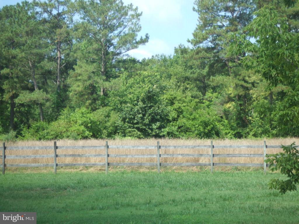 26086 Nanticoke Road Salisbury, MD 21801 - Photo 6 of 8