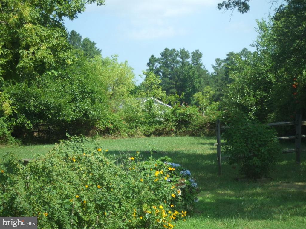 26086 Nanticoke Road Salisbury, MD 21801 - Photo 7 of 8