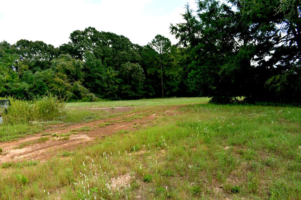 0 Happy Acres Road Palestine, TX 75803 - Photo 5 of 15