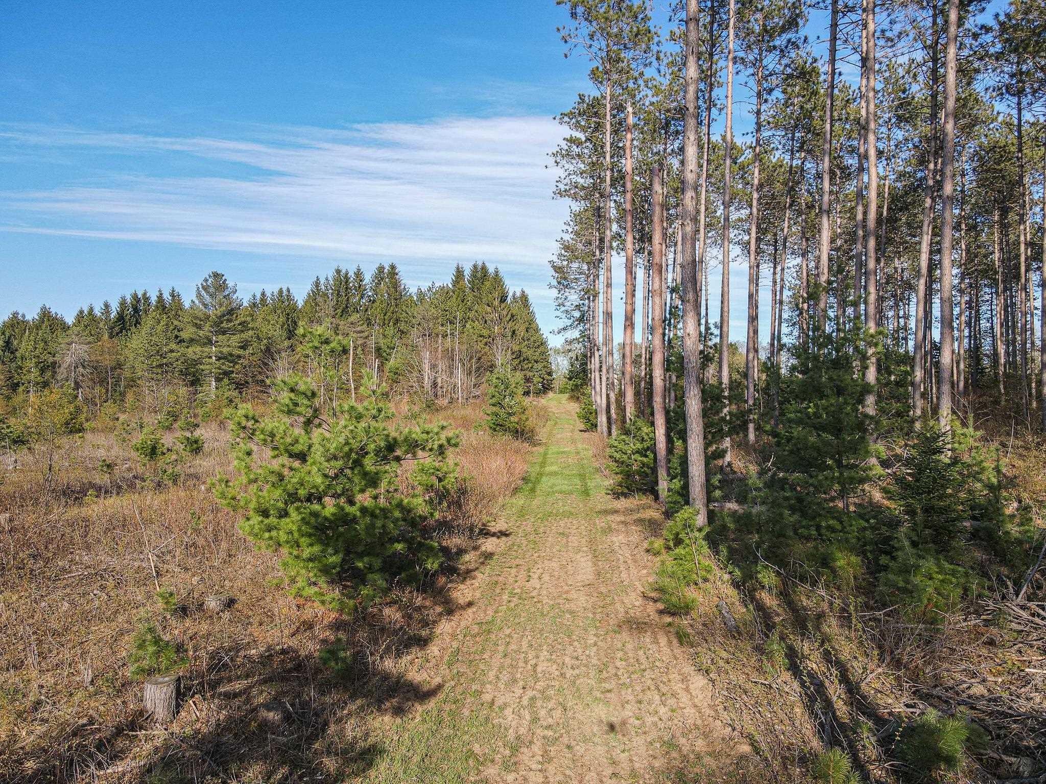 8545 County Road V Suring, WI 54174 - Photo 35 of 56