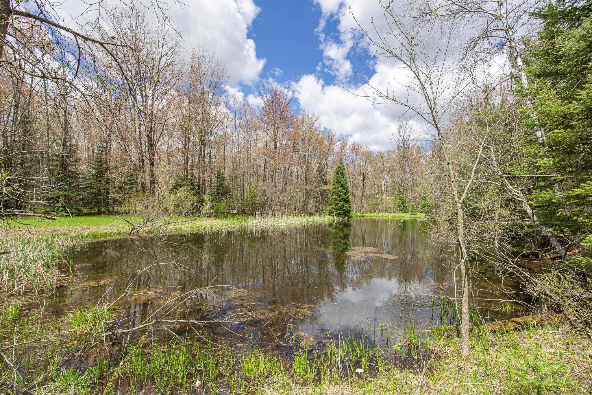 8545 County Road V Suring, WI 54174 - Photo 39 of 56