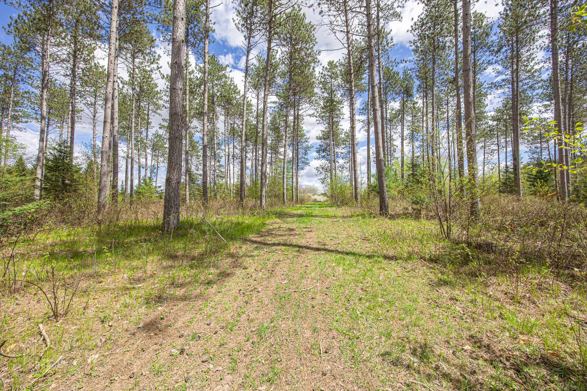 8545 County Road V Suring, WI 54174 - Photo 40 of 56