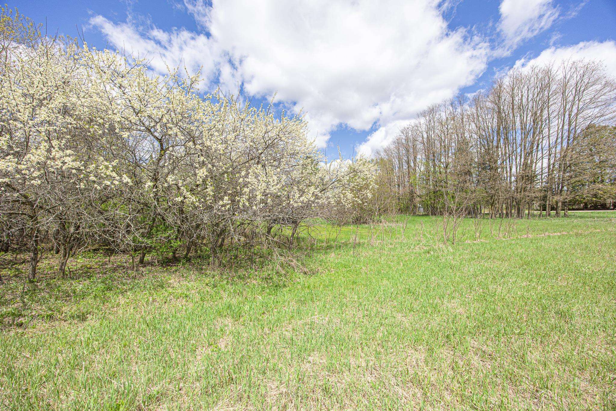 8545 County Road V Suring, WI 54174 - Photo 42 of 56