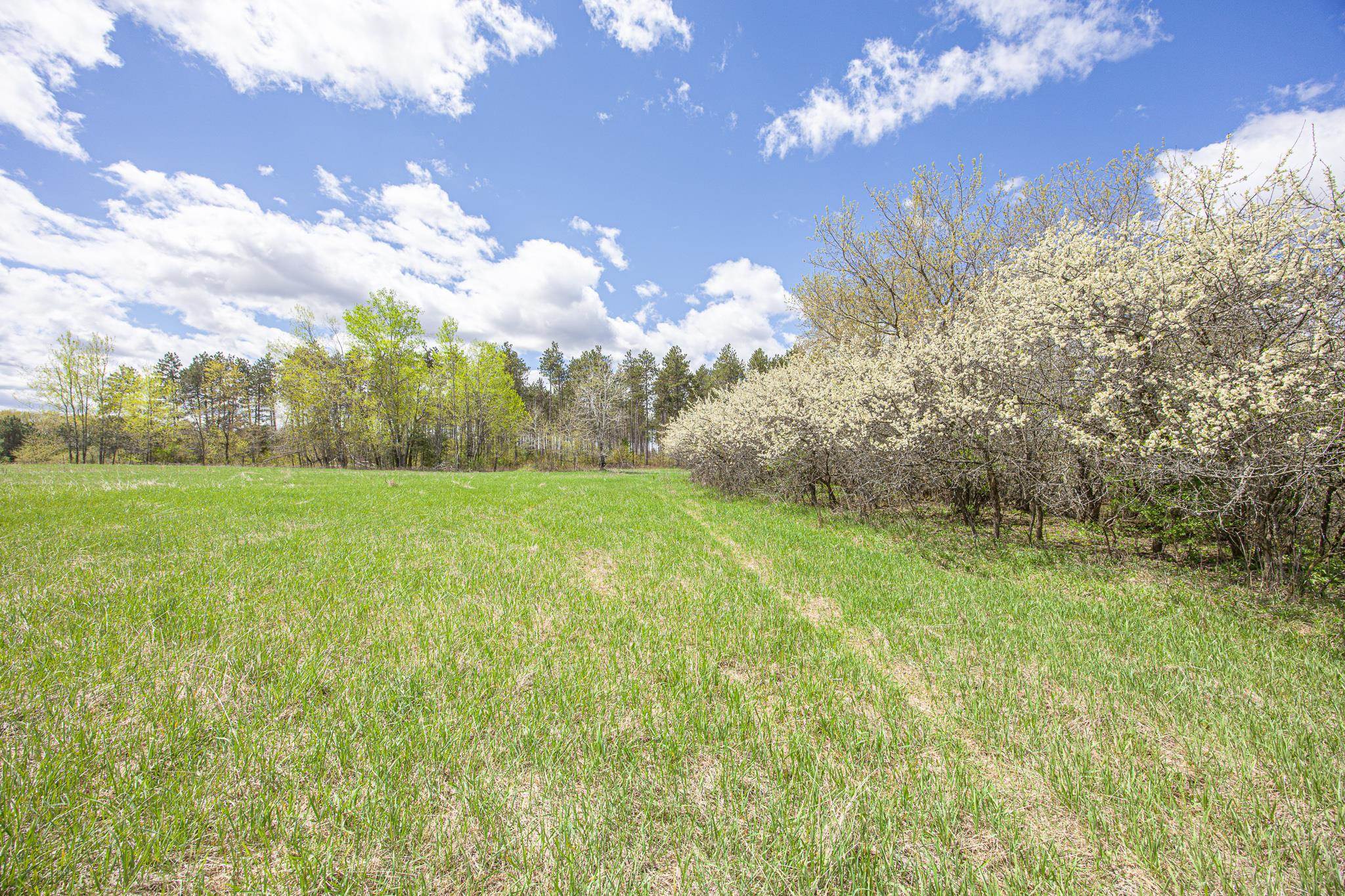8545 County Road V Suring, WI 54174 - Photo 43 of 56