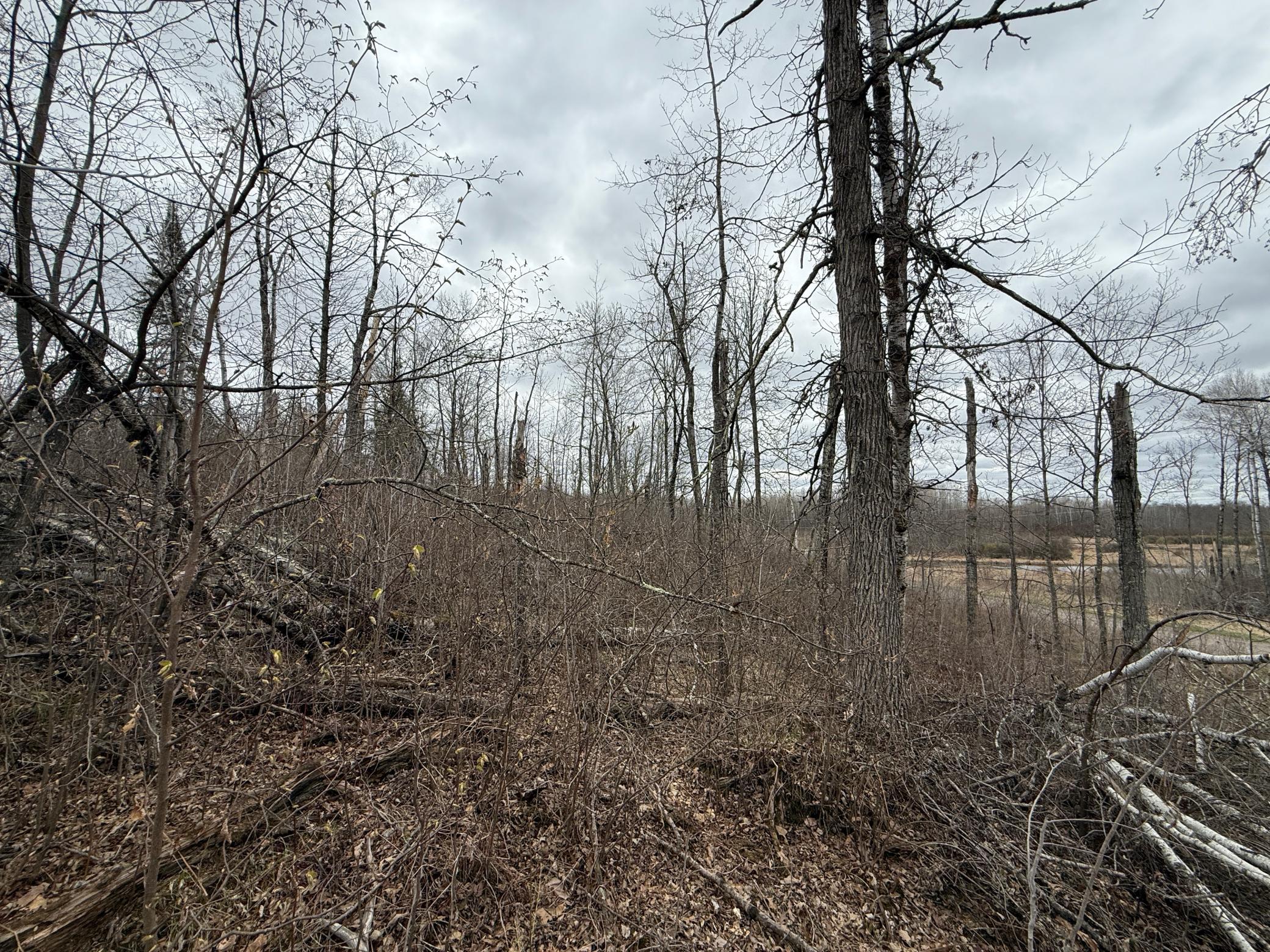 3854 Rasmussen Road Wright, MN 55798 - Photo 45 of 98