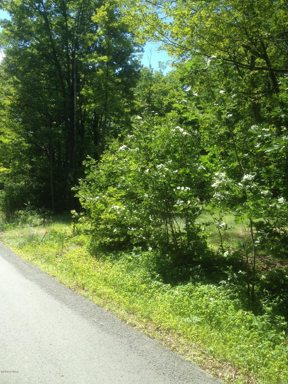 Maple Hill Road Forest City, PA 18421 - Photo 3 of 5 Gallery Image 3