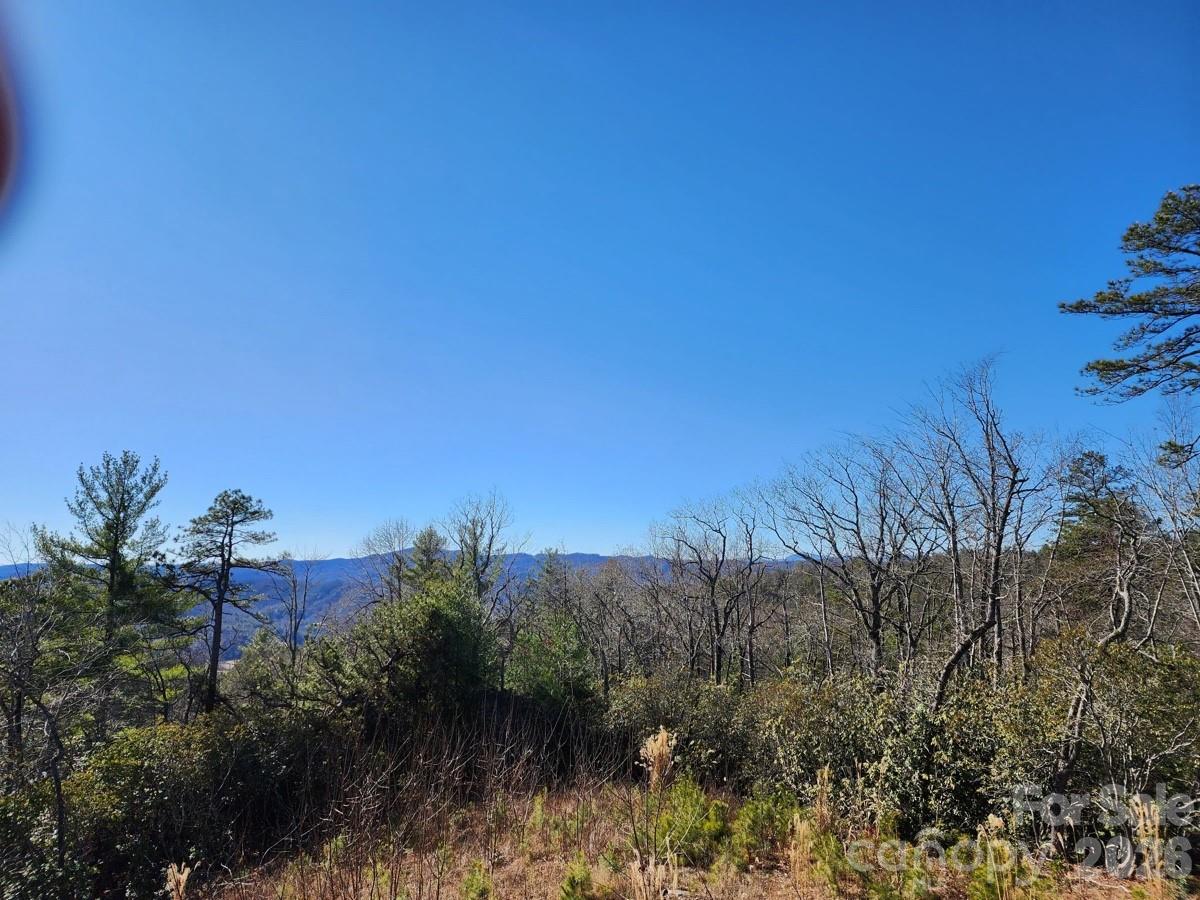 9999 Bulling Creek Road Penrose, NC 28766 - Photo 2 of 8 a view of a lake in middle of forest