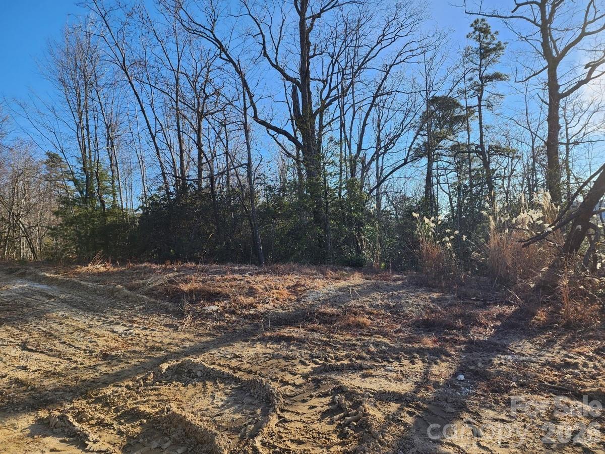 9999 Bulling Creek Road Penrose, NC 28766 - Photo 3 of 8 a view of a yard with large trees