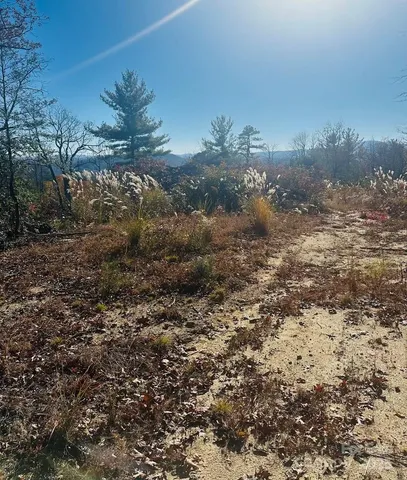 $369,000 | 9999 Bulling Creek Road, Penrose, NC 28766