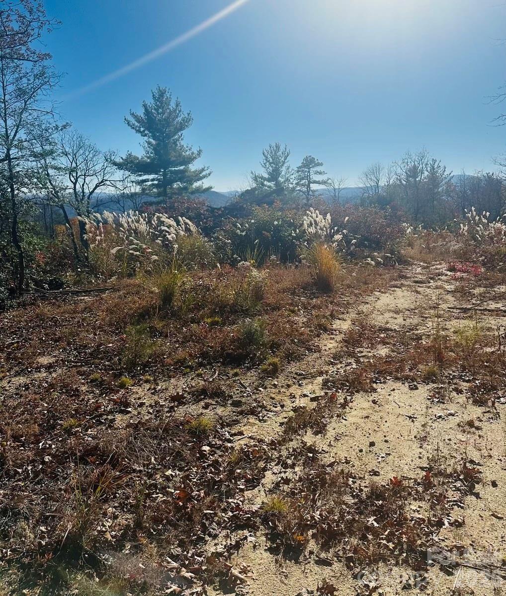 9999 Bulling Creek Road Penrose, NC 28766 - Photo 4 of 8 a view of a yard