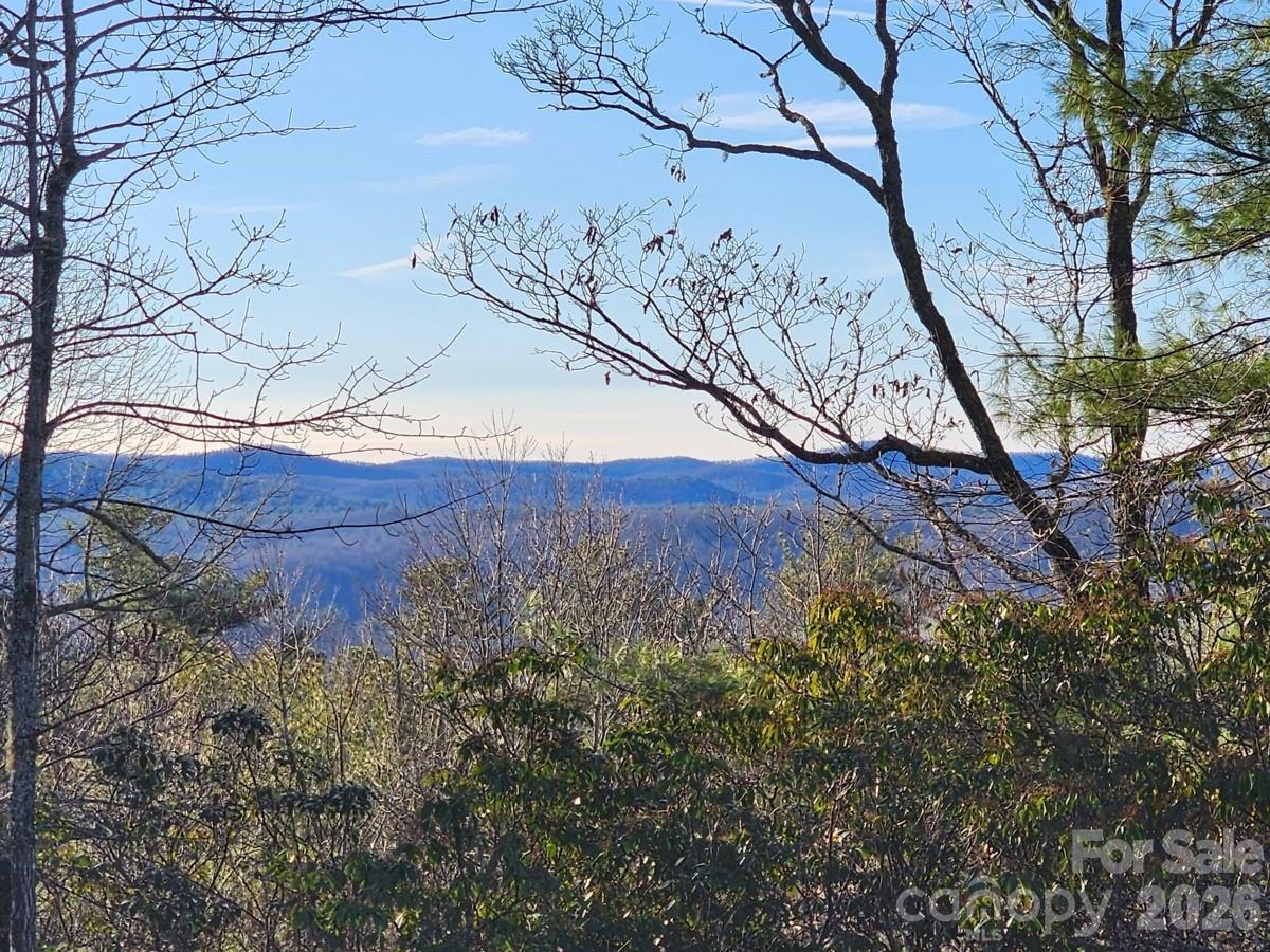 9999 Bulling Creek Road Penrose, NC 28766 - Photo 5 of 8 a view of a yard with a tree