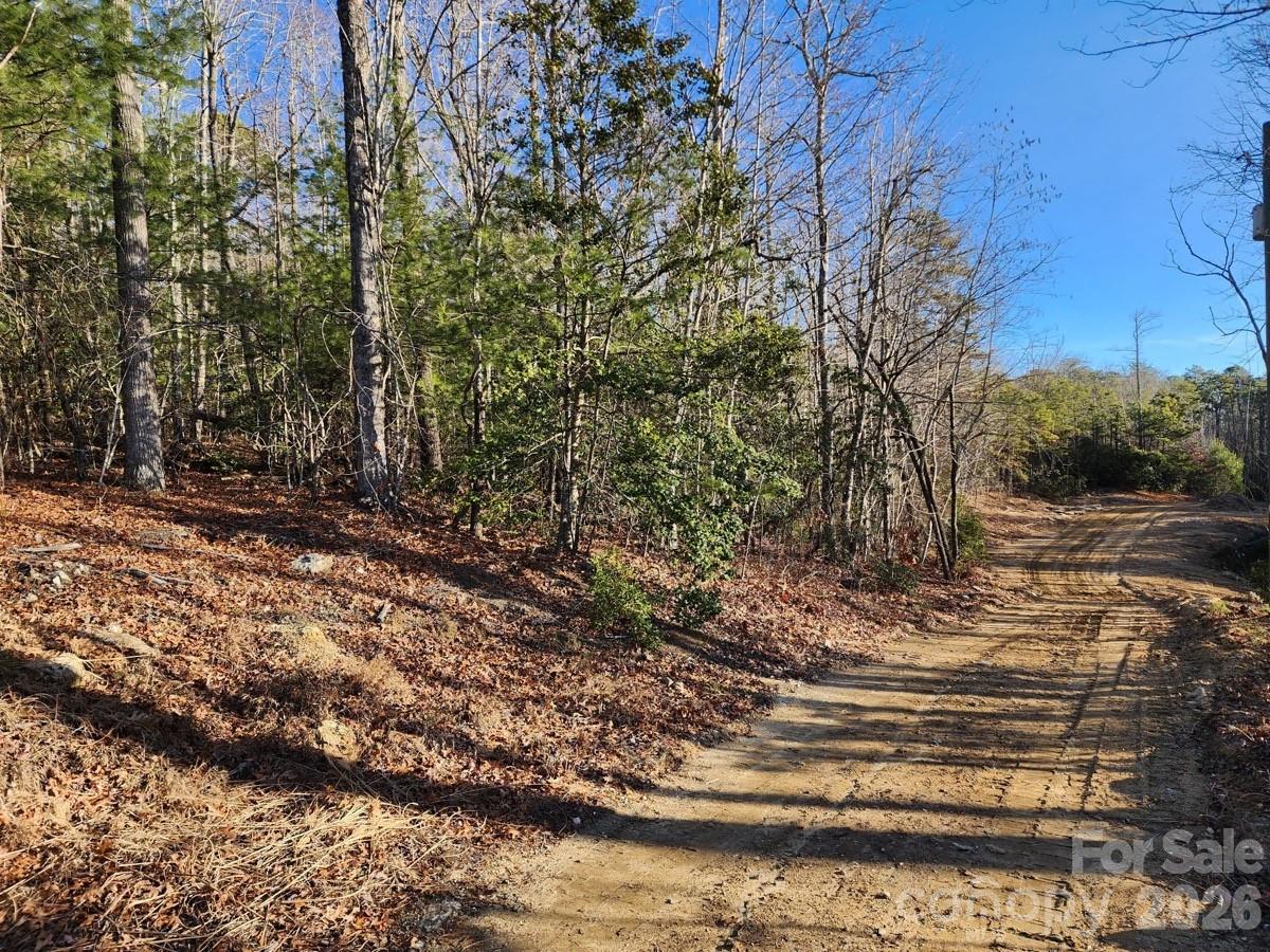 9999 Bulling Creek Road Penrose, NC 28766 - Photo 6 of 8 a view of a yard with plants and trees