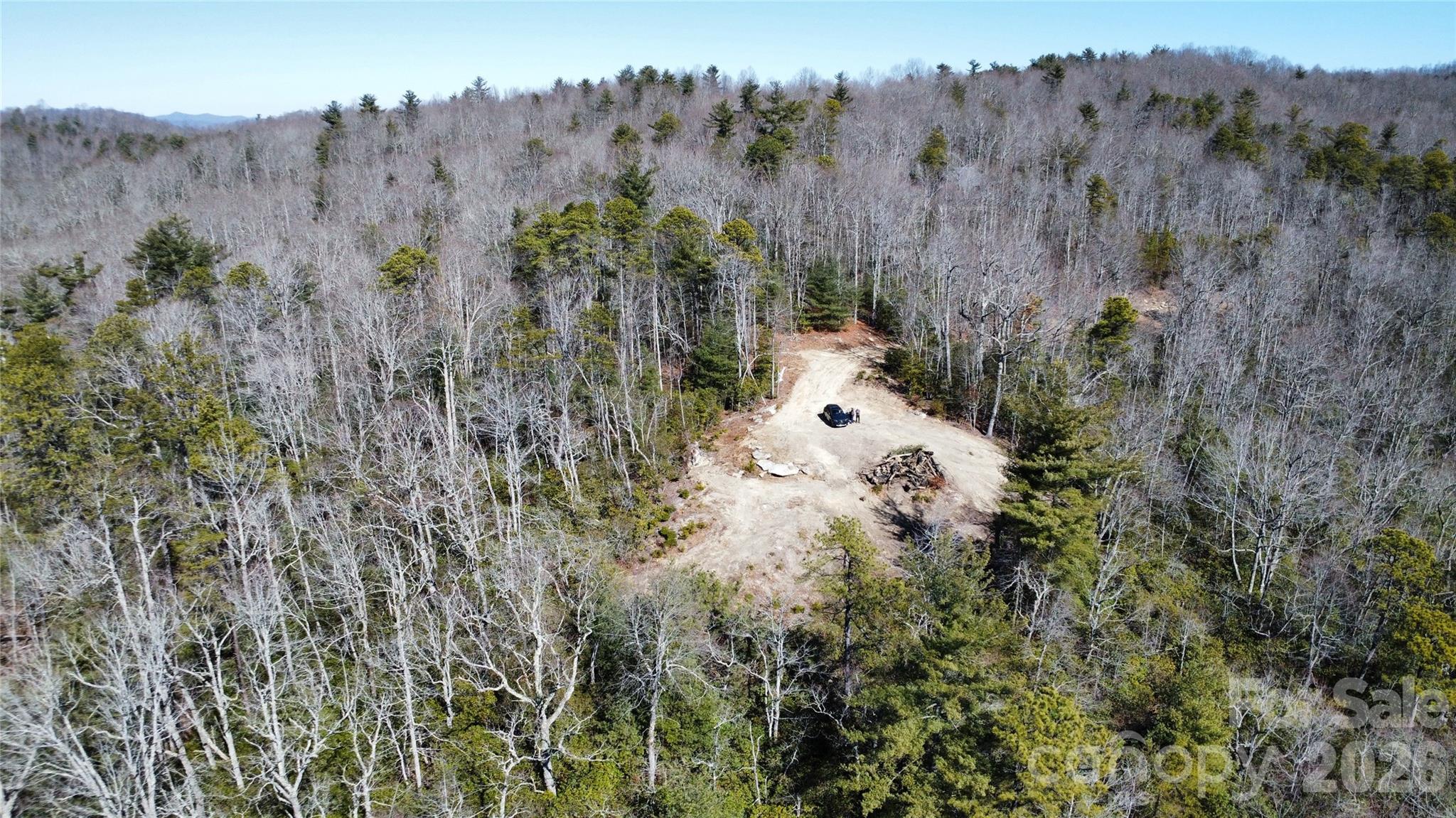 9999 Bulling Creek Road Penrose, NC 28766 - Photo 8 of 8 a view of a bunch of trees and bushes