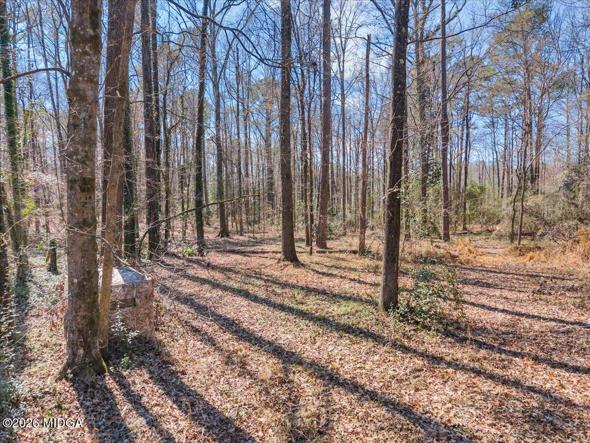 5256 Rivoli Drive Macon, GA 31210 - Photo 76 of 91 a view of a backyard with large trees
