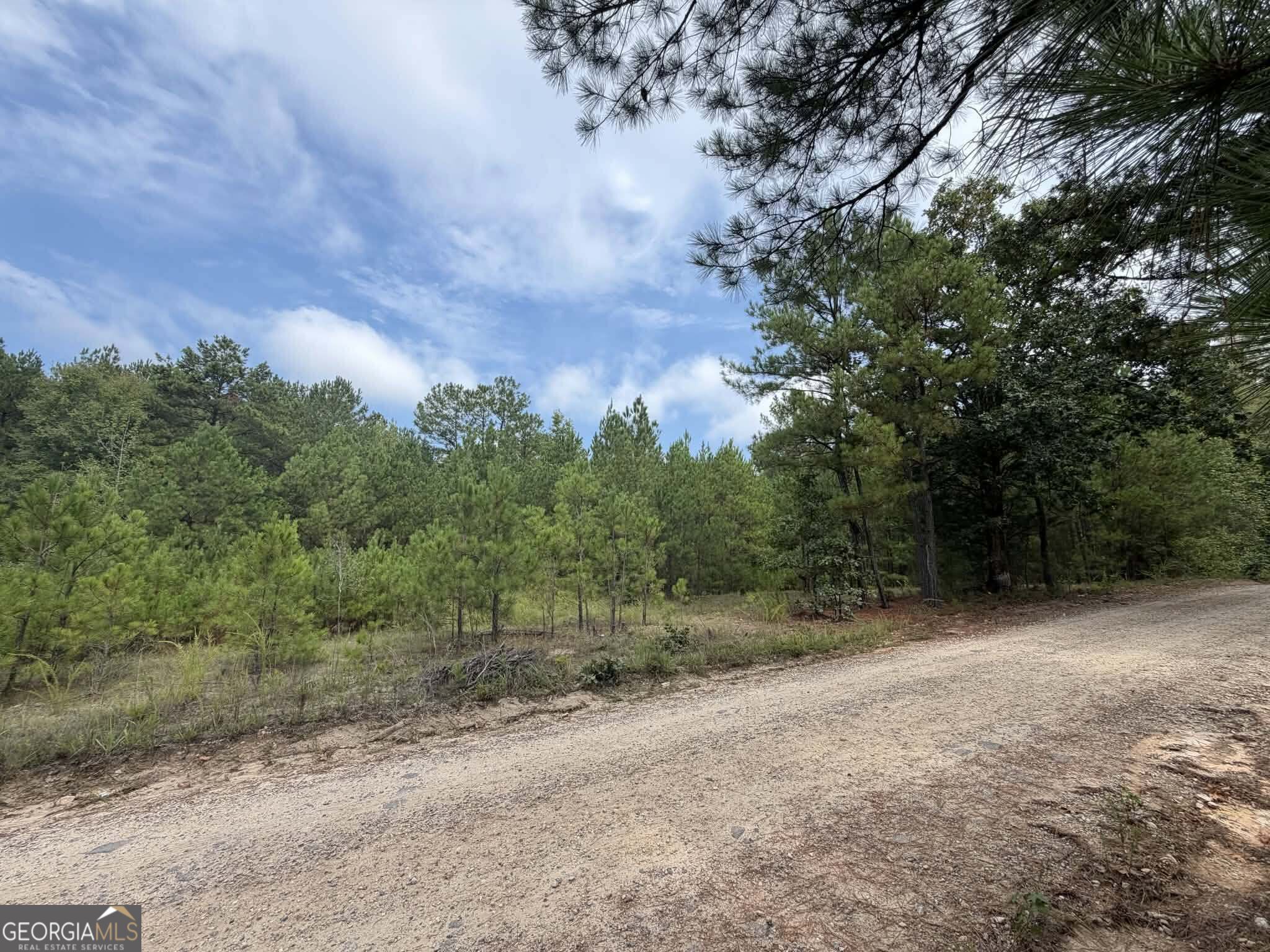 0 Smith Mill Road Monticello, GA 31064 - Photo 7 of 10 Gallery Image 7