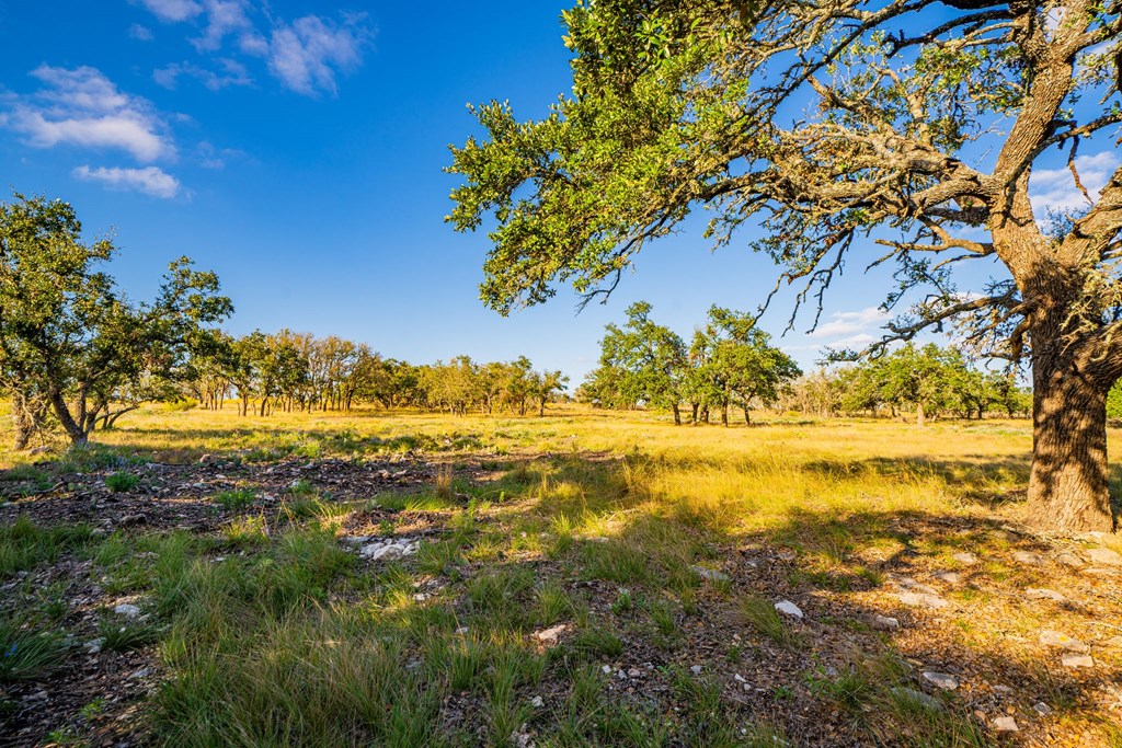 Lot 42 Reservation Road, Unit 42 Harper, TX 78631 - Photo 3 of 6 Gallery Image 3