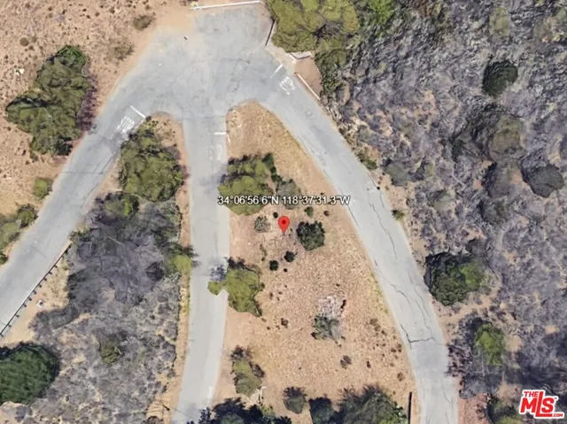 a view of the plant of the side of the road