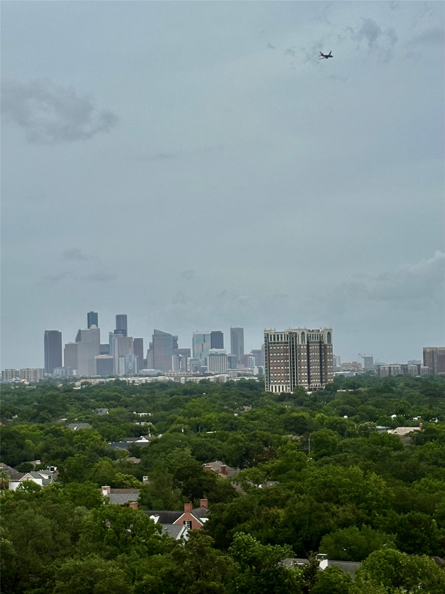 2360 Rice Boulevard, Unit 1103 Houston, TX 77005 - Photo 9 of 11