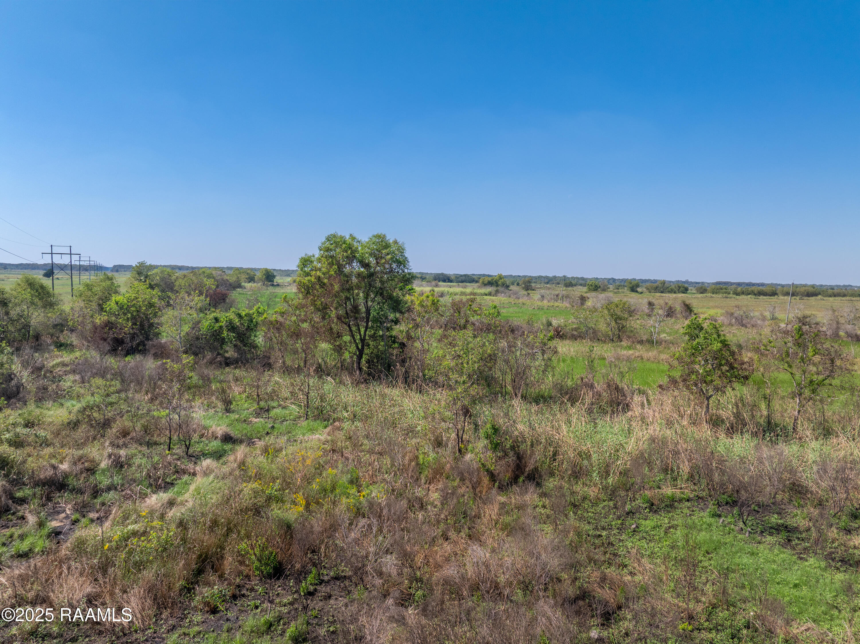 Tbd Bobwhite Road Erath, LA 70533 - Photo 8 of 17 TBD Bobwhite Rd