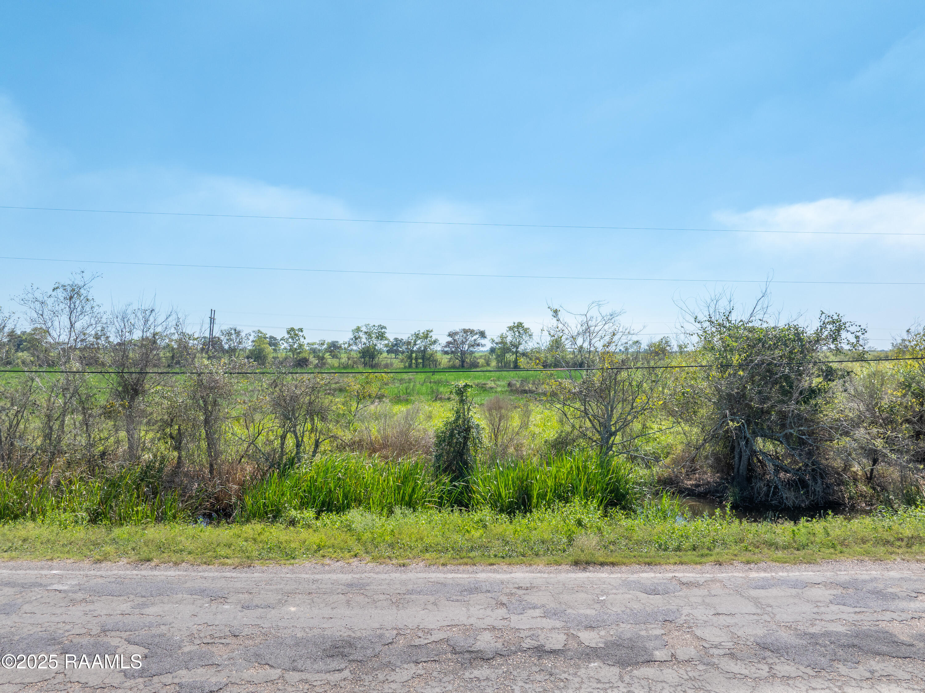 Tbd Bobwhite Road Erath, LA 70533 - Photo 9 of 17 TBD Bobwhite Rd