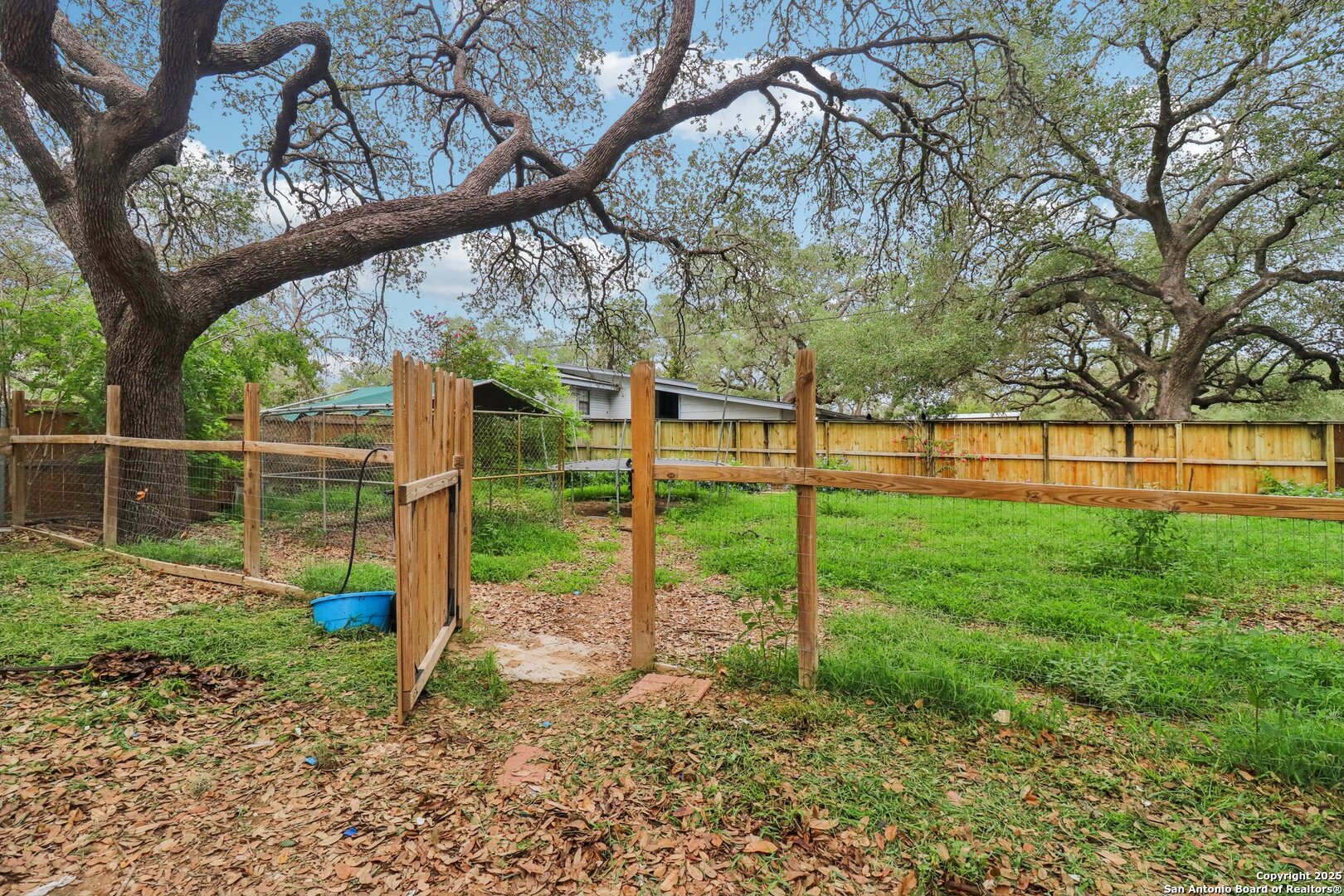 503 Mockingbird Lane Devine, TX 78016 - Photo 41 of 49 a view of a garden with a tree