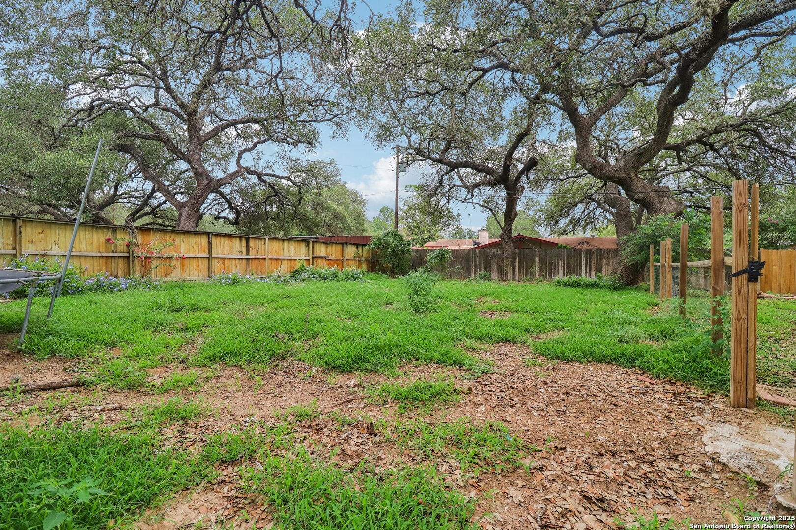 503 Mockingbird Lane Devine, TX 78016 - Photo 42 of 49 a view of a backyard with large trees