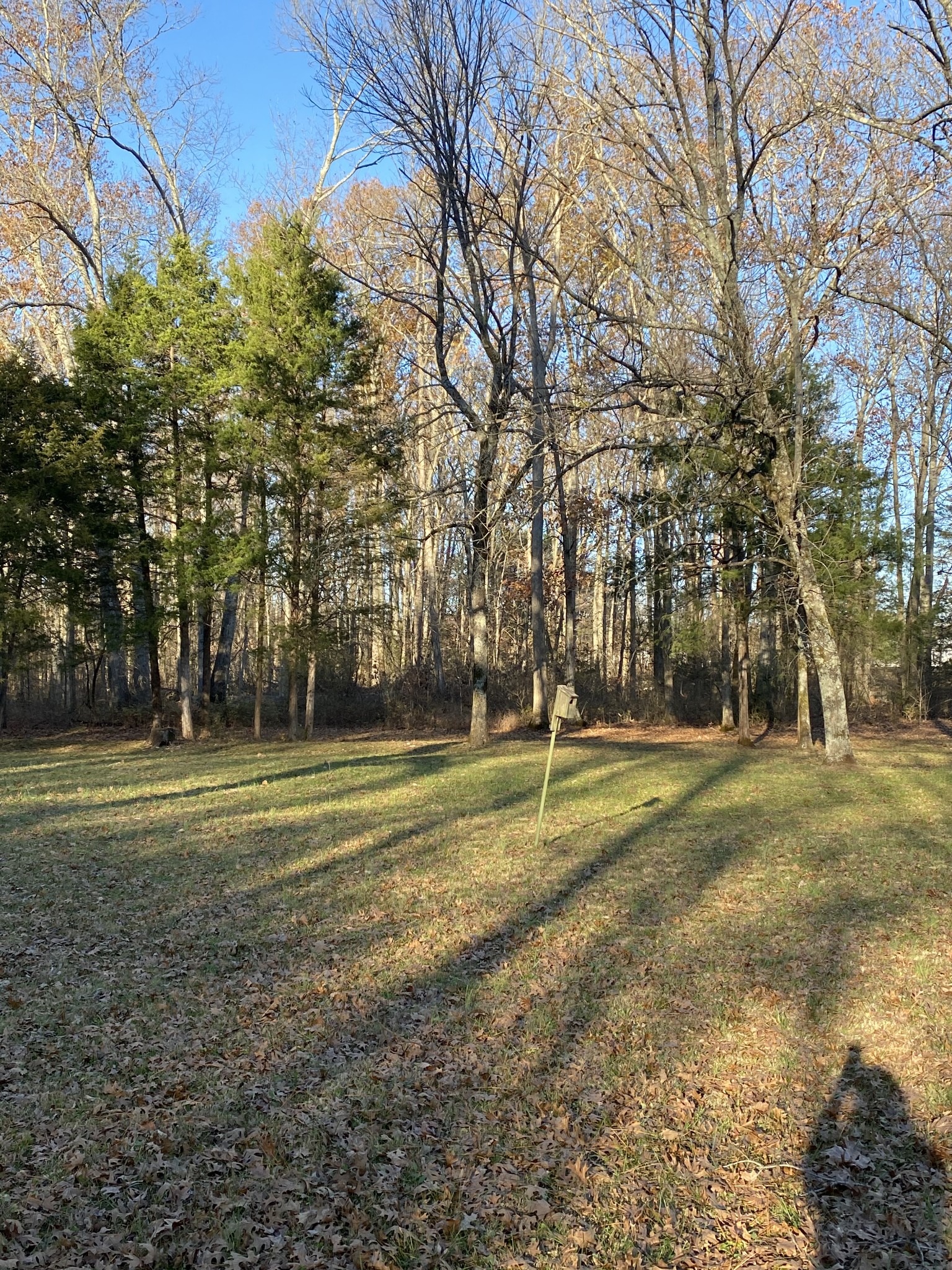 4100 Rucker Road Christiana, TN 37037 - Photo 13 of 14 Gallery Image 13