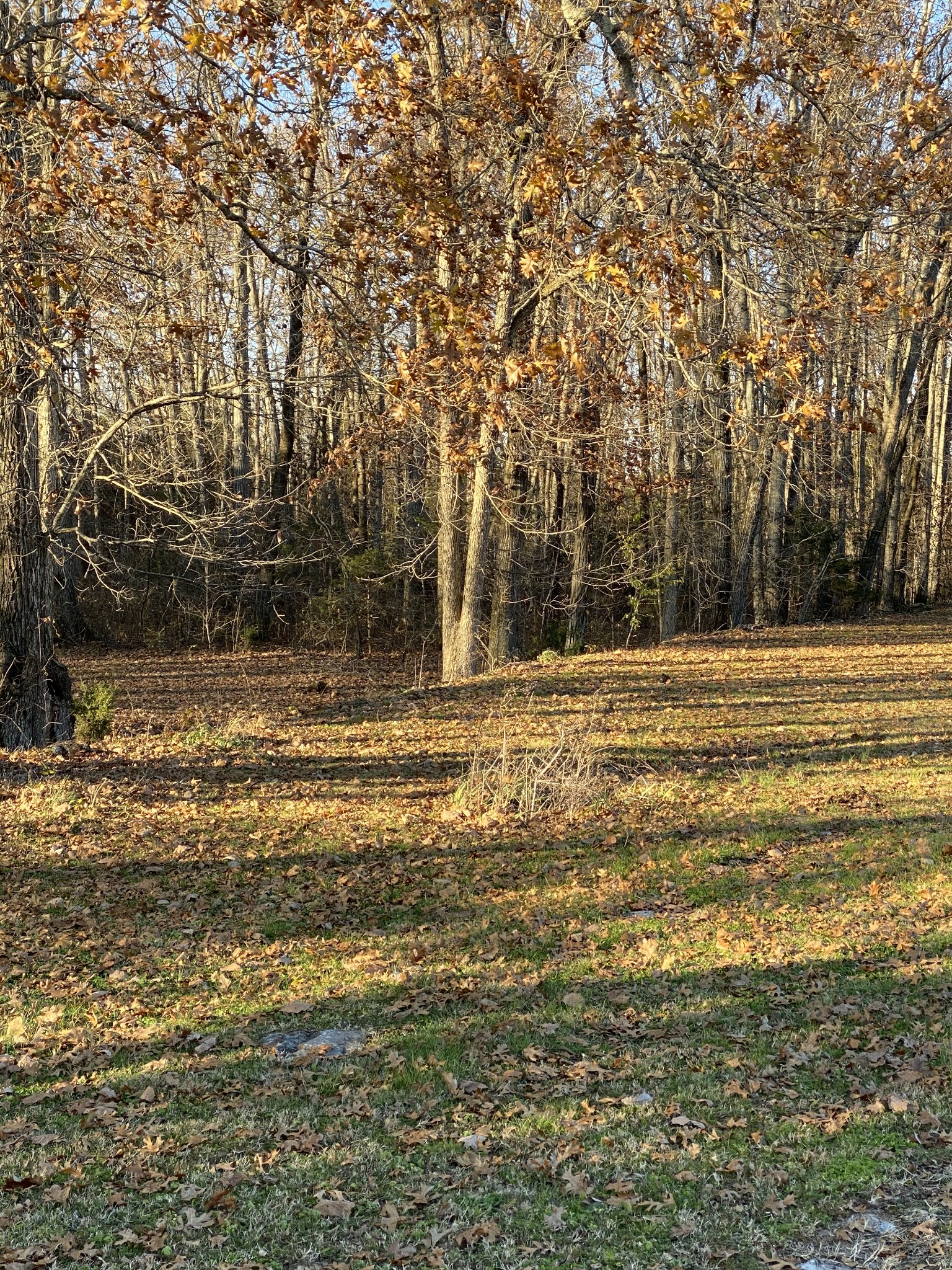 4100 Rucker Road Christiana, TN 37037 - Photo 14 of 14 Gallery Image 14