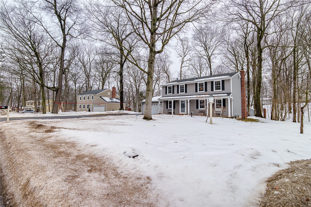 44 South Ridge Trail Perinton, NY 14450 - Photo 46 of 48