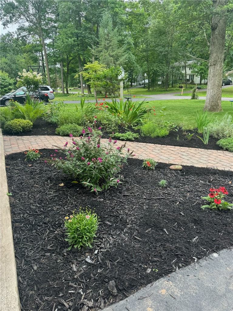 44 South Ridge Trail Perinton, NY 14450 - Photo 47 of 48