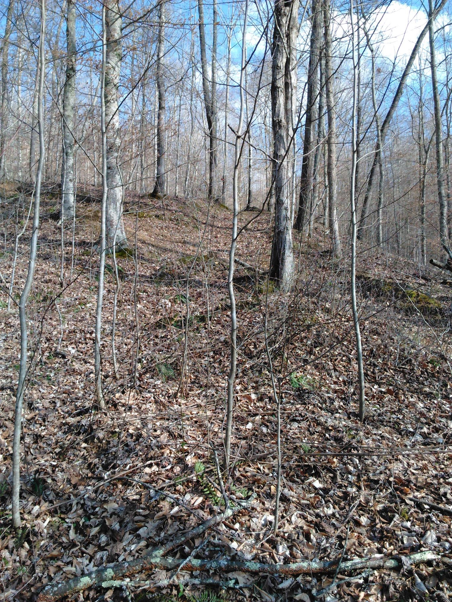 3107 South Fork Road Beattyville, KY 41311 - Photo 7 of 29 Photo 7