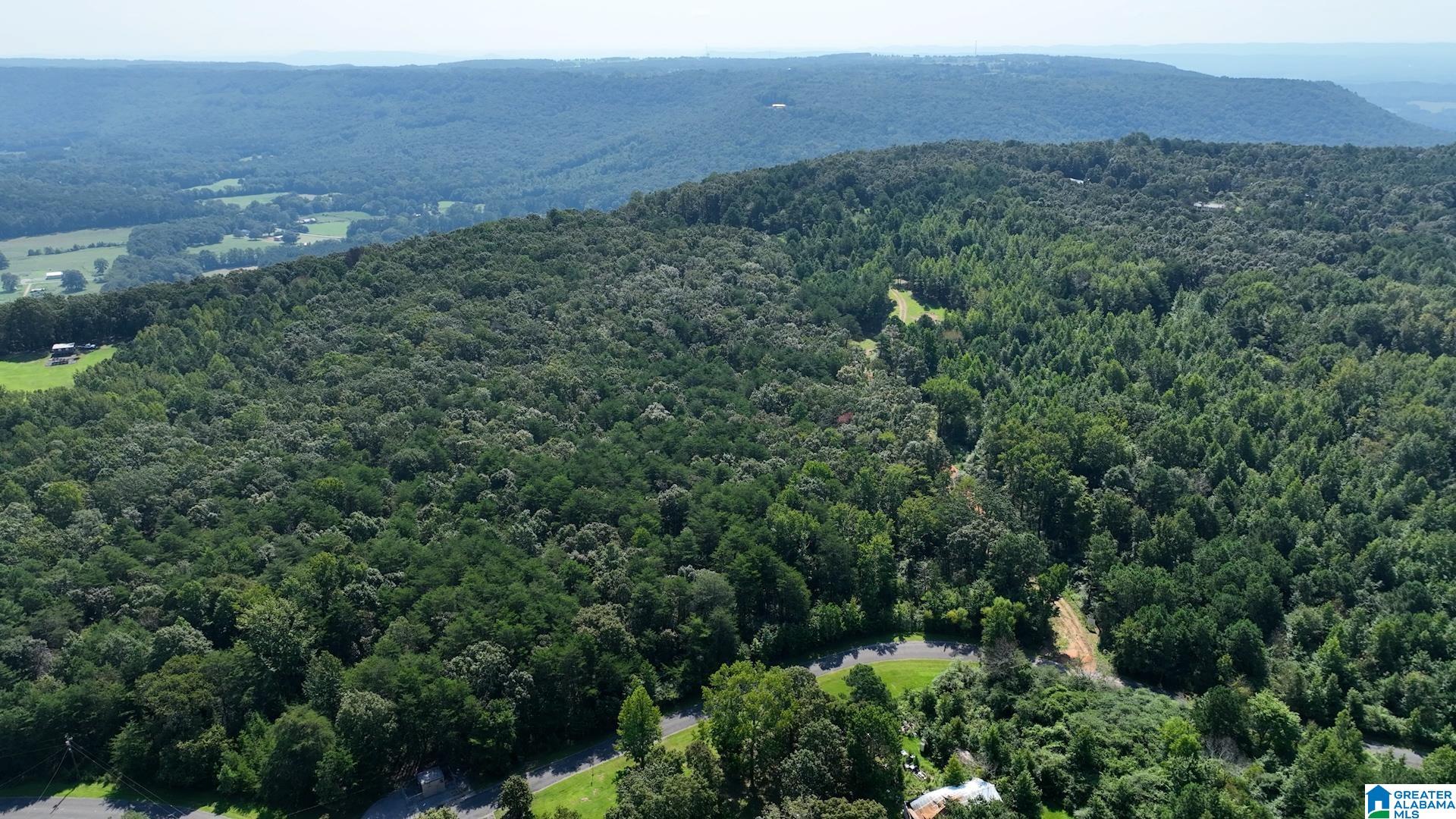 0 Cliff Springs Road, Unit 7 46 ACRES Gallant, AL 35972 - Photo 8 of 11